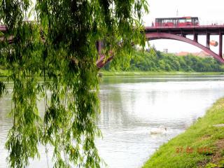 DSCN1487.JPG