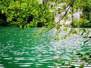DSCN0752.JPG