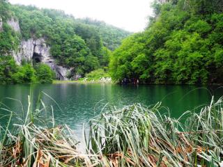 DSCN0810.JPG