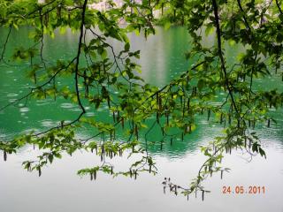 DSCN0785.JPG