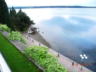 DSCN1167.JPG