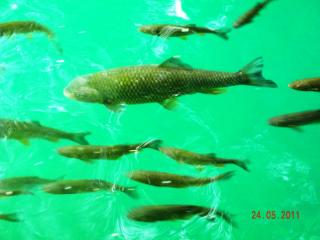 DSCN0751.JPG