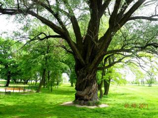 DSCN0084.JPG