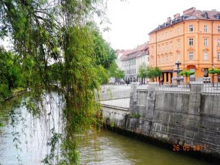 DSCN1351.JPG