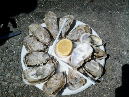 устрицыыы)).jpg