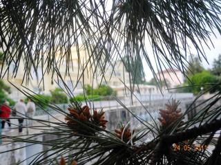 DSCN0953.JPG