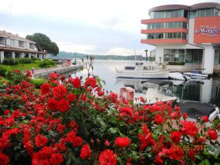 DSCN1188.JPG