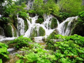 DSCN0776.JPG