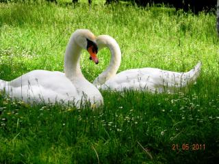 DSCN0156.JPG