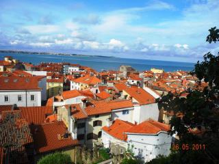 DSCN1202.JPG