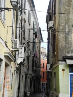 DSCN1220.JPG