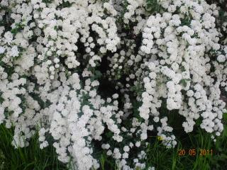 DSCN0022.JPG