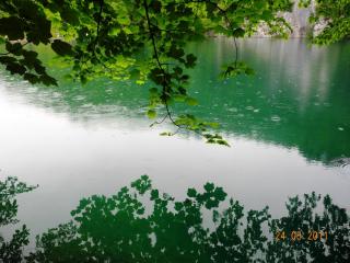 DSCN0783.JPG