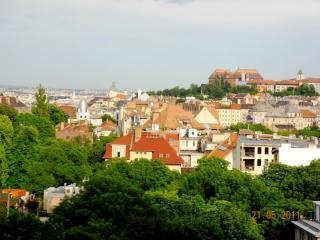 DSCN0281.JPG