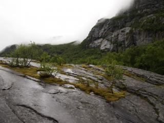 P7091821.JPG