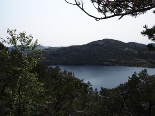 P7060067.JPG
