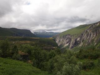 P7059318.JPG