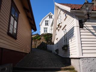 P7069786.JPG