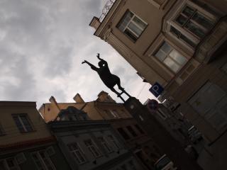 P7038784.JPG