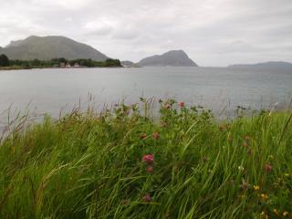 P7080697.JPG