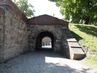 P7112578.JPG