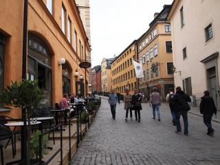 P7049085.JPG