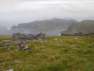 P7080735.JPG