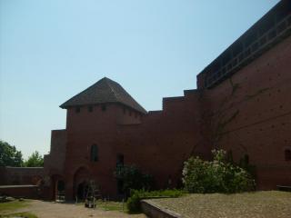 S6302151.JPG