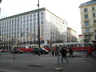 IMG_4694.JPG