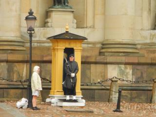 DSCN0097.JPG