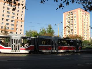 IMG_7519.JPG