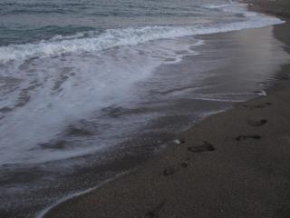 IMG_1925.JPG