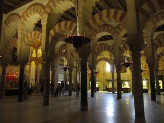 IMG_1569.JPG
