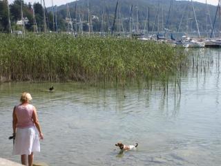 IMG_4509.JPG