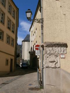 P4291701.JPG
