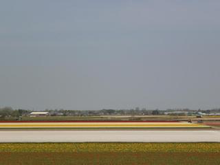P5060598.JPG