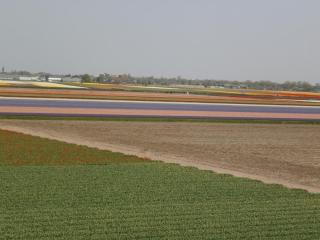 P5060599.JPG
