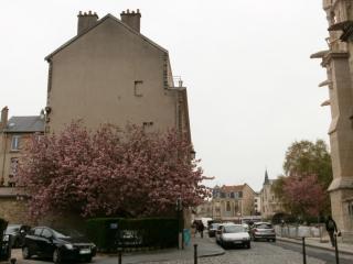 P4301851.JPG
