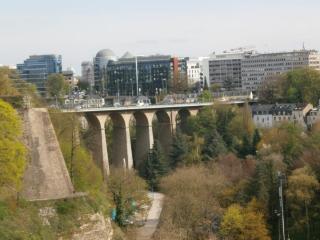 P4291715.JPG