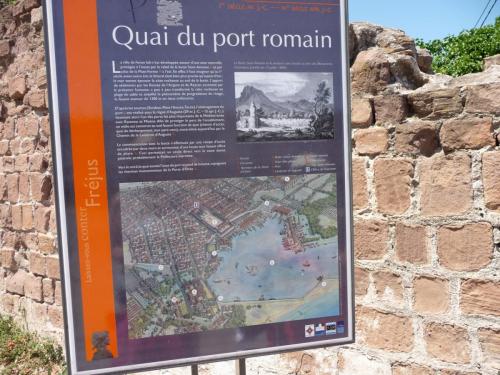 P1100081_resize.JPG