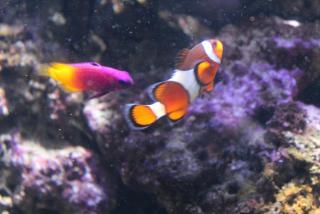 IMG_9743.JPG