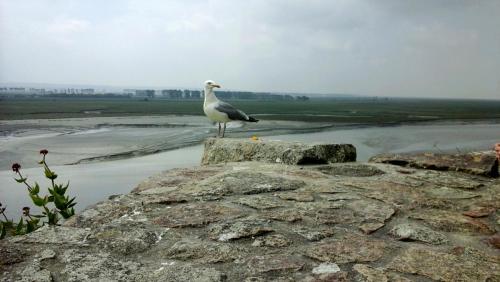 2017-05-08 18.11.59.jpg