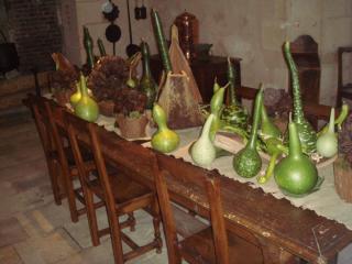 DSC05463.JPG
