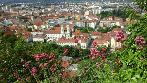 2016-05-16 20.45.44.jpg