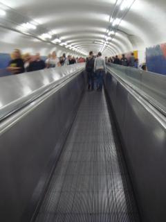 DSC05605.JPG