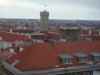 DSC05979.JPG