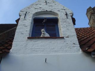 DSC05256.JPG