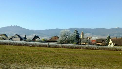 2017-01-01 16.21.26.jpg