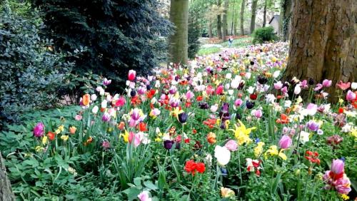 2017-05-05 18.38.45.jpg