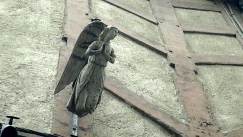 2017-05-11 12.43.42.jpg